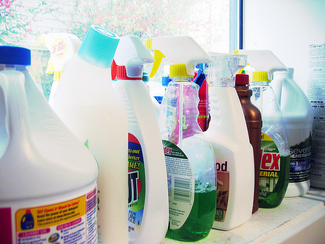 Don't Poison Your Pet - Be Mindful of Cleaning Products